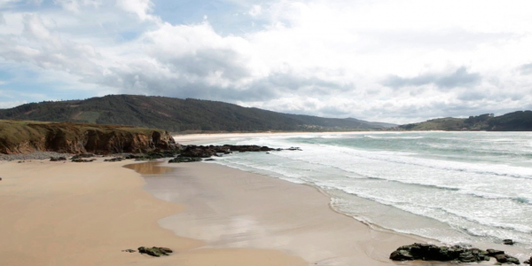 ferrol02 ferrol02