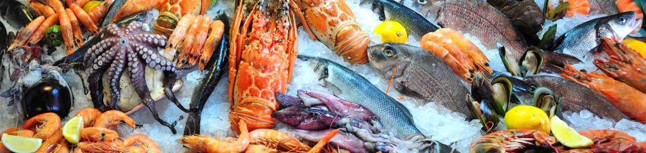 Fresh seafood Fresh seafood
