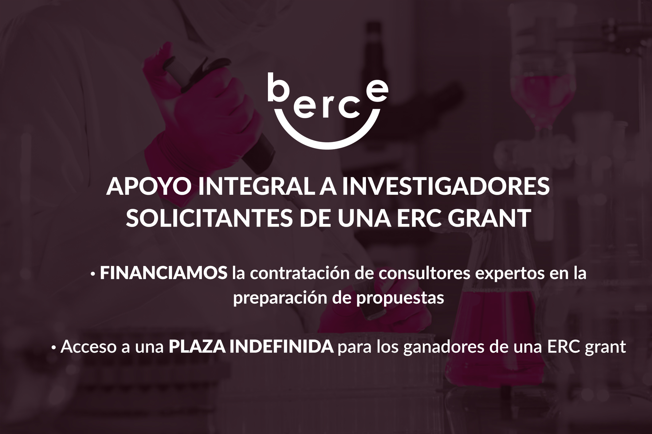 Programa berce Erc Grant